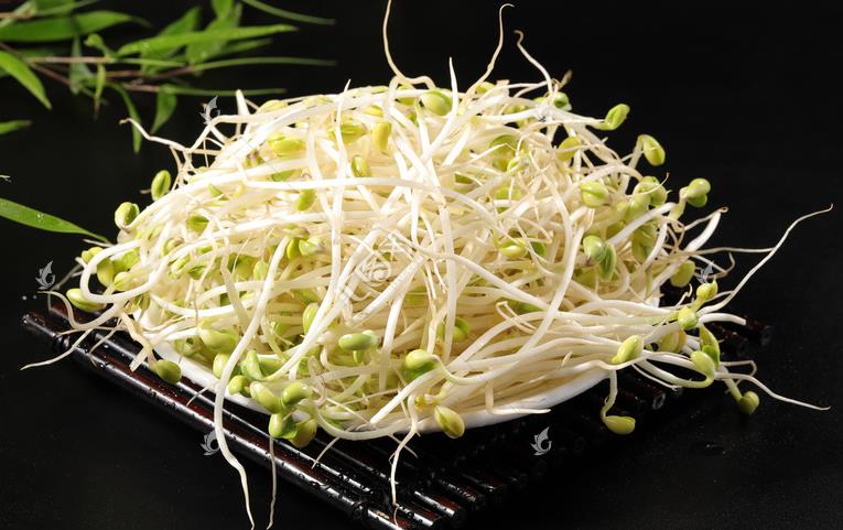 無公害綠色豆芽，怎么生產(chǎn)出來的？全套生產(chǎn)過程如此方便智能